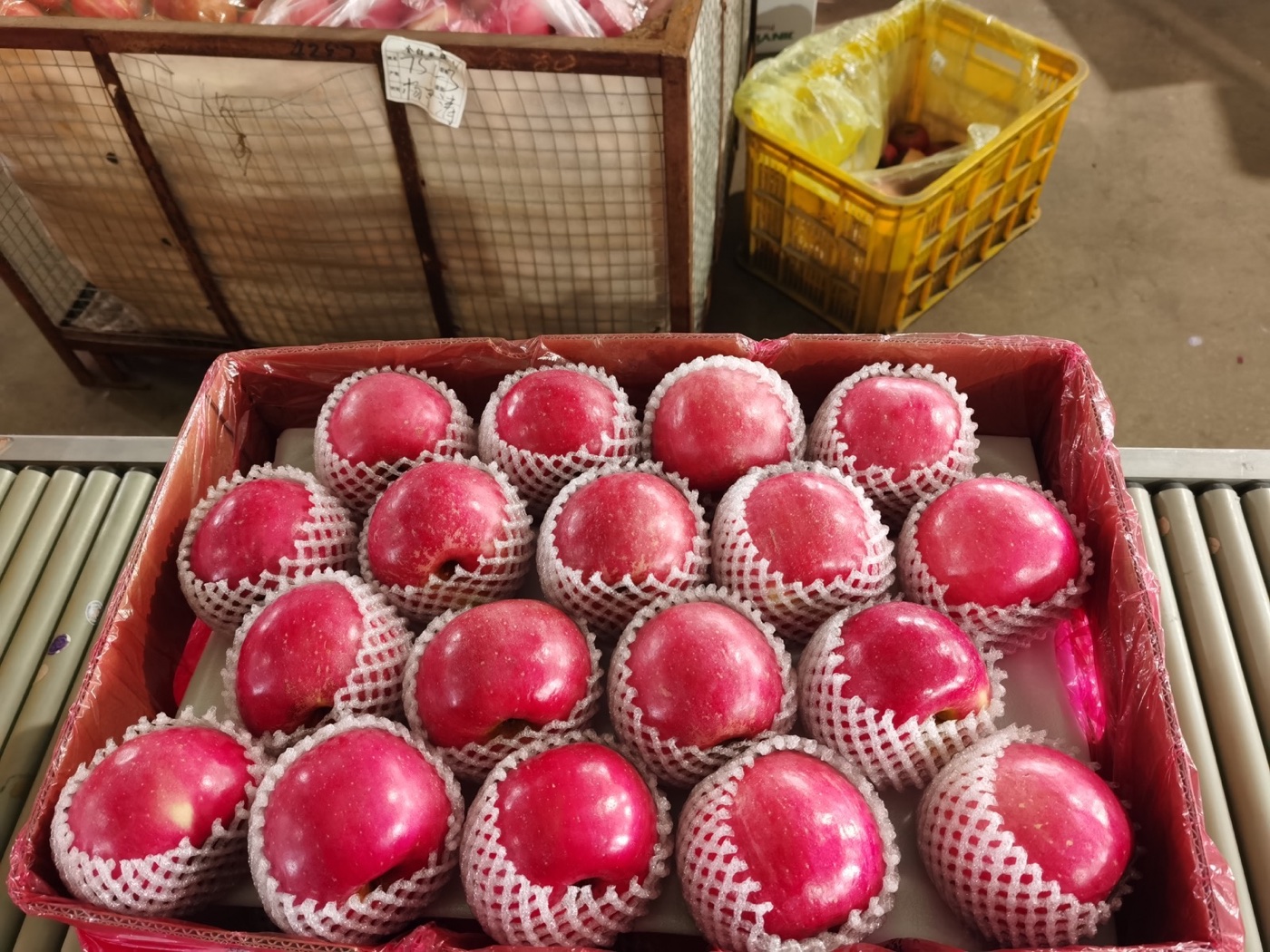 Apple packing and inspection at our facility